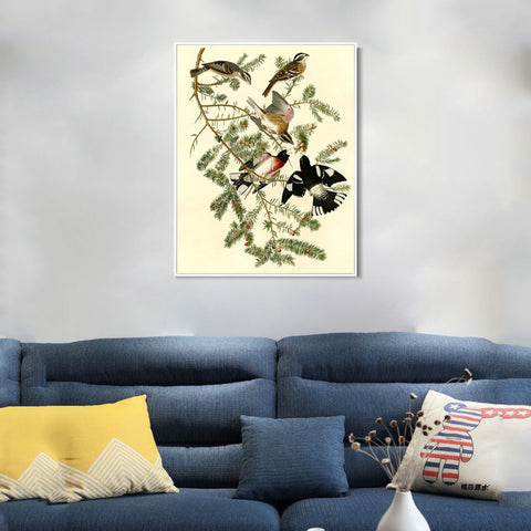 INVIN ART Framed Canvas Giclee Print Rose breasted Grosbeak by John James Audubon Wall Art Living Room Home Office Decorations