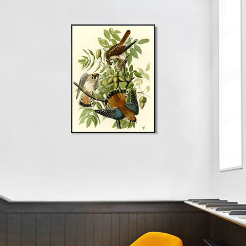 INVIN ART Framed Canvas Giclee Print Series#87 by John James Audubon Wall Art Living Room Home Office Decorations