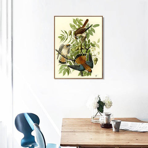 INVIN ART Framed Canvas Giclee Print Series#87 by John James Audubon Wall Art Living Room Home Office Decorations
