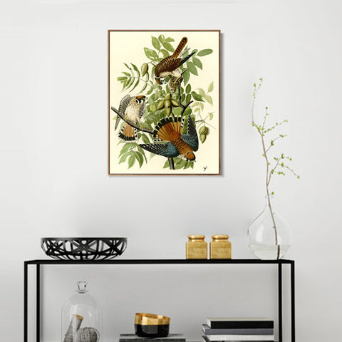INVIN ART Framed Canvas Giclee Print Series#87 by John James Audubon Wall Art Living Room Home Office Decorations