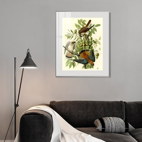 INVIN ART Metal Framed Canvas Giclee Print Series#87 by John James Audubon Wall Art Living Room Home Office Decorations