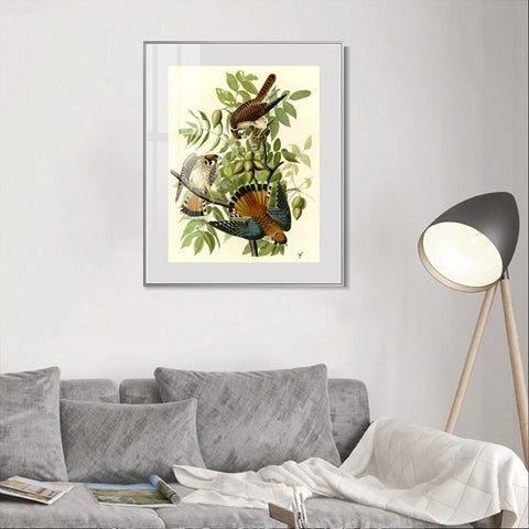 INVIN ART Metal Framed Canvas Giclee Print Series#87 by John James Audubon Wall Art Living Room Home Office Decorations