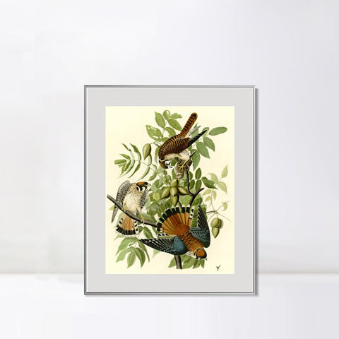 INVIN ART Metal Framed Canvas Giclee Print Series#87 by John James Audubon Wall Art Living Room Home Office Decorations