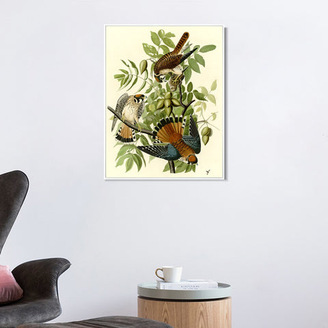 INVIN ART Framed Canvas Giclee Print Series#87 by John James Audubon Wall Art Living Room Home Office Decorations