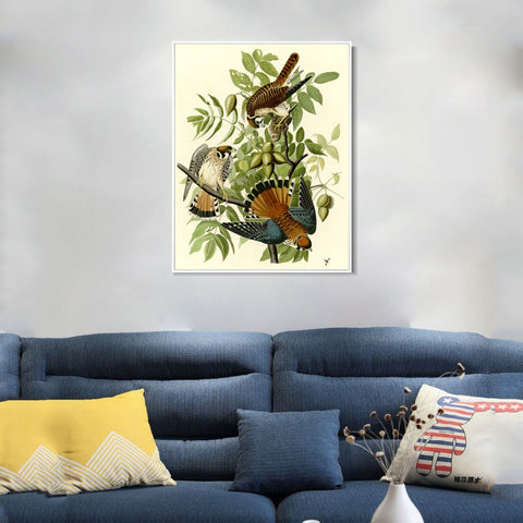 INVIN ART Framed Canvas Giclee Print Series#87 by John James Audubon Wall Art Living Room Home Office Decorations