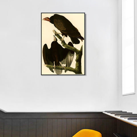 INVIN ART Framed Canvas Giclee Print Turkey Buzzard by John James Audubon Wall Art Living Room Home Office Decorations