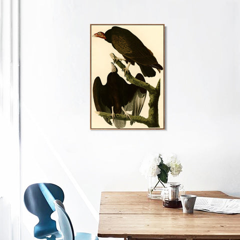 INVIN ART Framed Canvas Giclee Print Turkey Buzzard by John James Audubon Wall Art Living Room Home Office Decorations