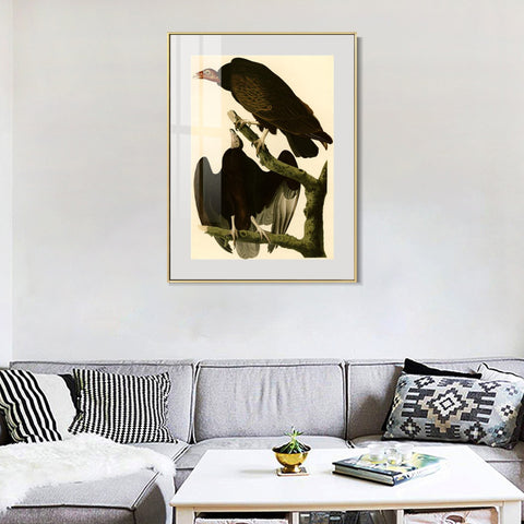 INVIN ART Metal Framed Canvas Giclee Print Turkey Buzzard by John James Audubon Wall Art Living Room Home Office Decorations