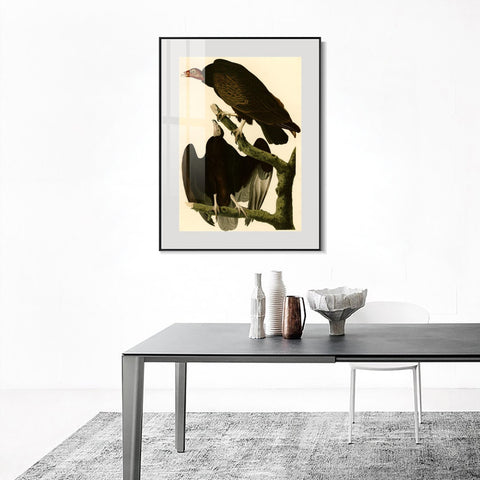 INVIN ART Metal Framed Canvas Giclee Print Turkey Buzzard by John James Audubon Wall Art Living Room Home Office Decorations