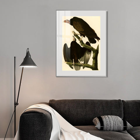 INVIN ART Metal Framed Canvas Giclee Print Turkey Buzzard by John James Audubon Wall Art Living Room Home Office Decorations