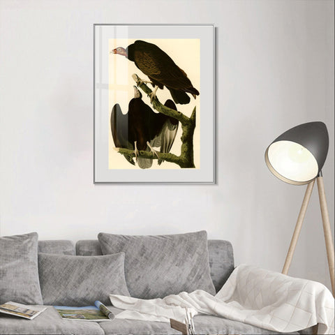 INVIN ART Metal Framed Canvas Giclee Print Turkey Buzzard by John James Audubon Wall Art Living Room Home Office Decorations
