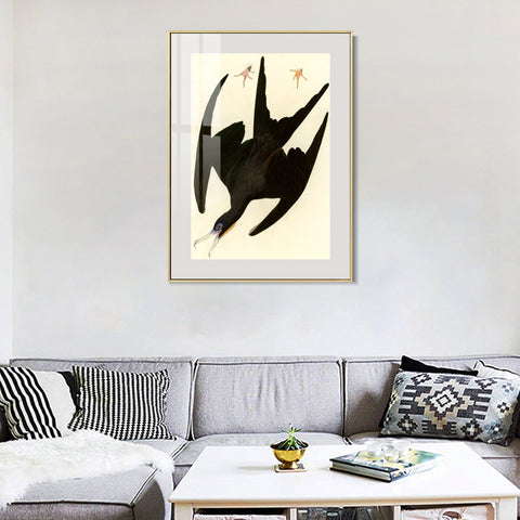 INVIN ART Metal Framed Canvas Giclee Print Frigate Pelican by John James Audubon Wall Art Living Room Home Office Decorations