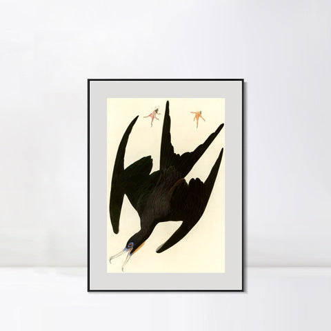 INVIN ART Metal Framed Canvas Giclee Print Frigate Pelican by John James Audubon Wall Art Living Room Home Office Decorations