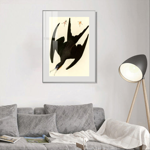 INVIN ART Metal Framed Canvas Giclee Print Frigate Pelican by John James Audubon Wall Art Living Room Home Office Decorations