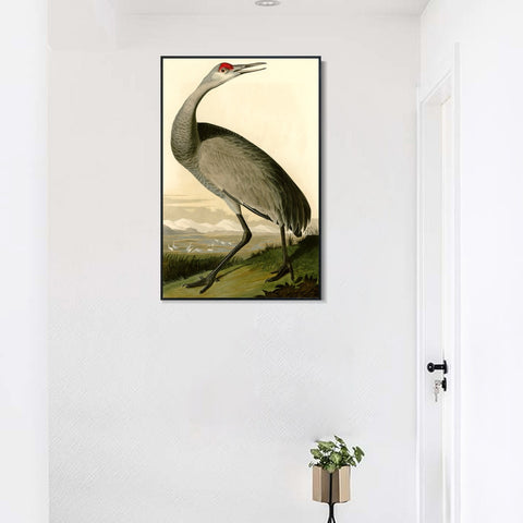 INVIN ART Framed Canvas Giclee Print Hooping Crane by John James Audubon Wall Art Living Room Home Office Decorations