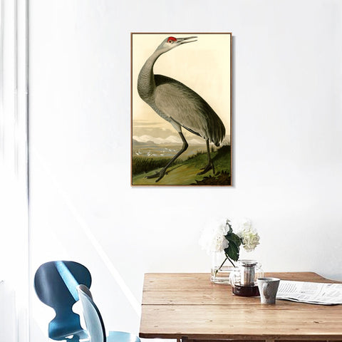 INVIN ART Framed Canvas Giclee Print Hooping Crane by John James Audubon Wall Art Living Room Home Office Decorations