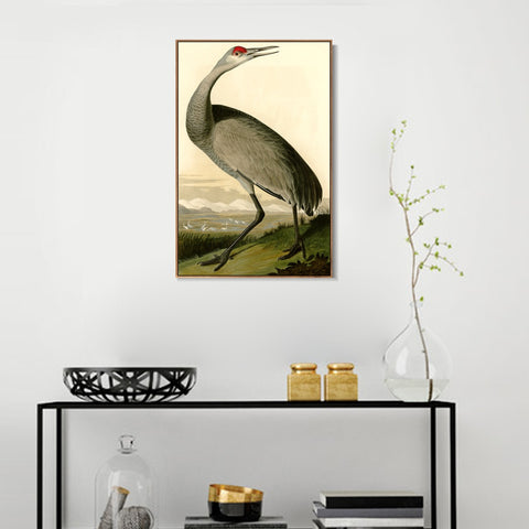 INVIN ART Framed Canvas Giclee Print Hooping Crane by John James Audubon Wall Art Living Room Home Office Decorations