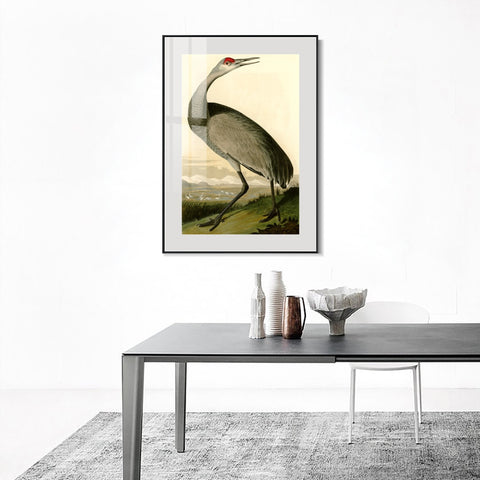 INVIN ART Metal Framed Canvas Giclee Print Hooping Crane by John James Audubon Wall Art Living Room Home Office Decorations