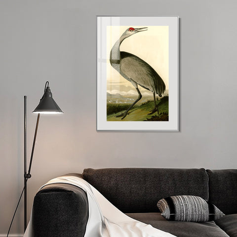 INVIN ART Metal Framed Canvas Giclee Print Hooping Crane by John James Audubon Wall Art Living Room Home Office Decorations