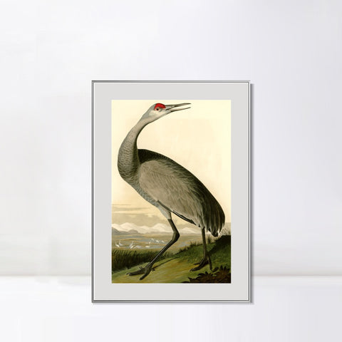 INVIN ART Metal Framed Canvas Giclee Print Hooping Crane by John James Audubon Wall Art Living Room Home Office Decorations