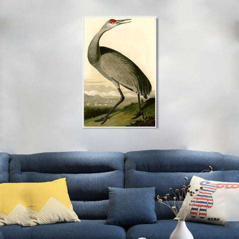 INVIN ART Framed Canvas Giclee Print Hooping Crane by John James Audubon Wall Art Living Room Home Office Decorations