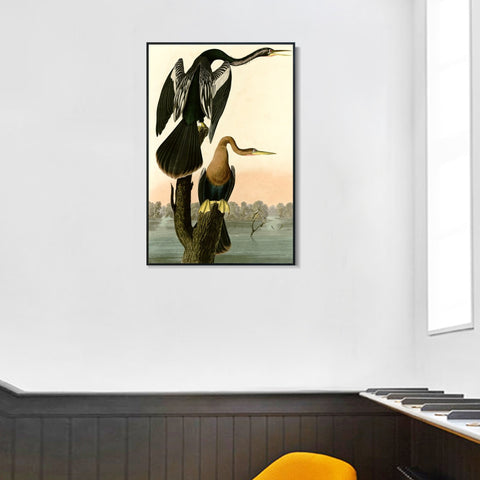 INVIN ART Framed Canvas Giclee Print Black bellied Darter by John James Audubon Wall Art Living Room Home Office Decorations