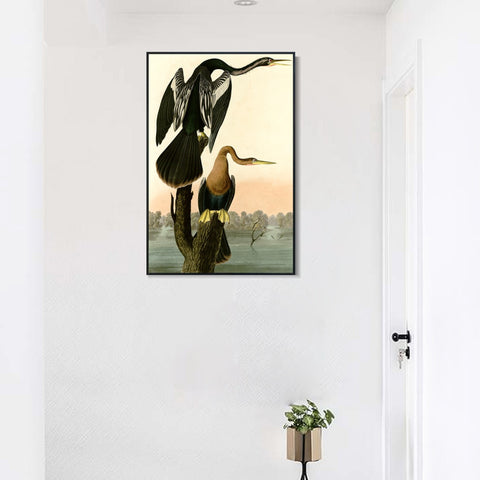 INVIN ART Framed Canvas Giclee Print Black bellied Darter by John James Audubon Wall Art Living Room Home Office Decorations