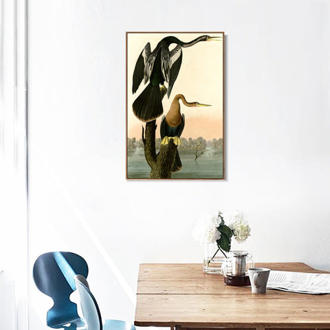 INVIN ART Framed Canvas Giclee Print Black bellied Darter by John James Audubon Wall Art Living Room Home Office Decorations