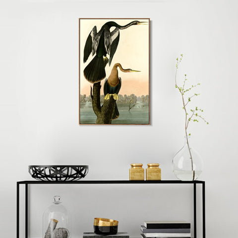 INVIN ART Framed Canvas Giclee Print Black bellied Darter by John James Audubon Wall Art Living Room Home Office Decorations