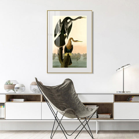 INVIN ART Metal Framed Canvas Giclee Print Black bellied Darter by John James Audubon Wall Art Living Room Home Office Decorations