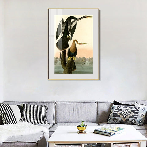 INVIN ART Metal Framed Canvas Giclee Print Black bellied Darter by John James Audubon Wall Art Living Room Home Office Decorations