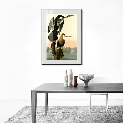 INVIN ART Metal Framed Canvas Giclee Print Black bellied Darter by John James Audubon Wall Art Living Room Home Office Decorations