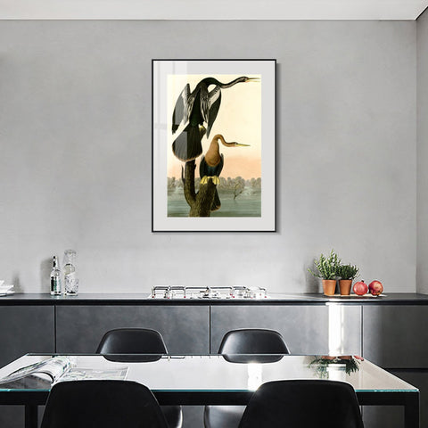 INVIN ART Metal Framed Canvas Giclee Print Black bellied Darter by John James Audubon Wall Art Living Room Home Office Decorations
