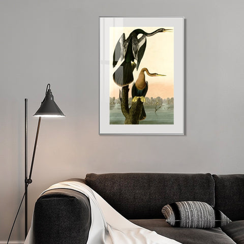 INVIN ART Metal Framed Canvas Giclee Print Black bellied Darter by John James Audubon Wall Art Living Room Home Office Decorations