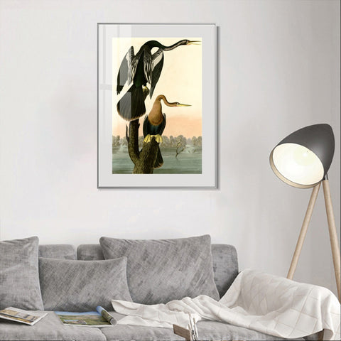 INVIN ART Metal Framed Canvas Giclee Print Black bellied Darter by John James Audubon Wall Art Living Room Home Office Decorations