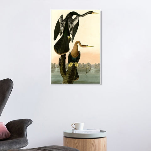 INVIN ART Framed Canvas Giclee Print Black bellied Darter by John James Audubon Wall Art Living Room Home Office Decorations