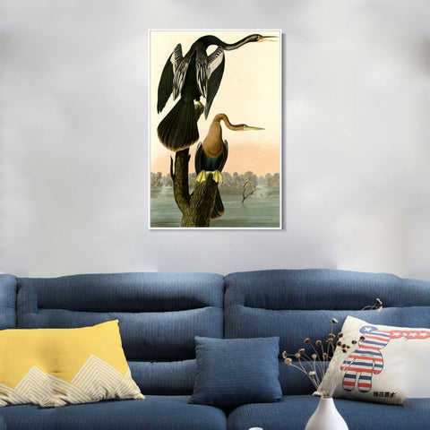 INVIN ART Framed Canvas Giclee Print Black bellied Darter by John James Audubon Wall Art Living Room Home Office Decorations