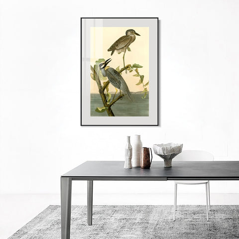 INVIN ART Metal Framed Canvas Giclee Print Series#92 by John James Audubon Wall Art Living Room Home Office Decorations