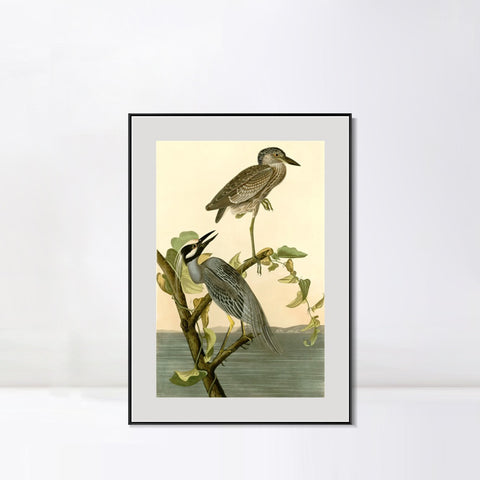INVIN ART Metal Framed Canvas Giclee Print Series#92 by John James Audubon Wall Art Living Room Home Office Decorations