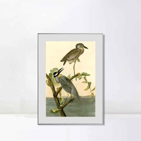INVIN ART Metal Framed Canvas Giclee Print Series#92 by John James Audubon Wall Art Living Room Home Office Decorations