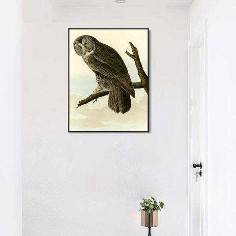 INVIN ART Framed Canvas Giclee Print Great Cinereous Owl by John James Audubon Wall Art Living Room Home Office Decorations