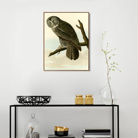 INVIN ART Framed Canvas Giclee Print Great Cinereous Owl by John James Audubon Wall Art Living Room Home Office Decorations