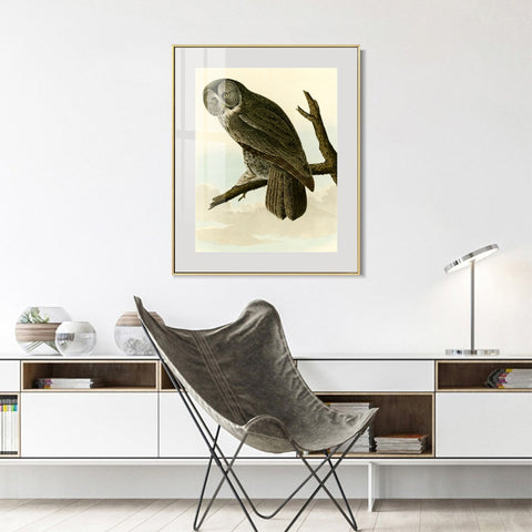 INVIN ART Metal Framed Canvas Giclee Print Great Cinereous Owl by John James Audubon Wall Art Living Room Home Office Decorations
