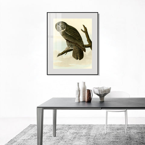 INVIN ART Metal Framed Canvas Giclee Print Great Cinereous Owl by John James Audubon Wall Art Living Room Home Office Decorations