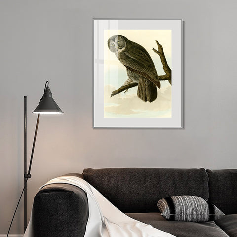 INVIN ART Metal Framed Canvas Giclee Print Great Cinereous Owl by John James Audubon Wall Art Living Room Home Office Decorations