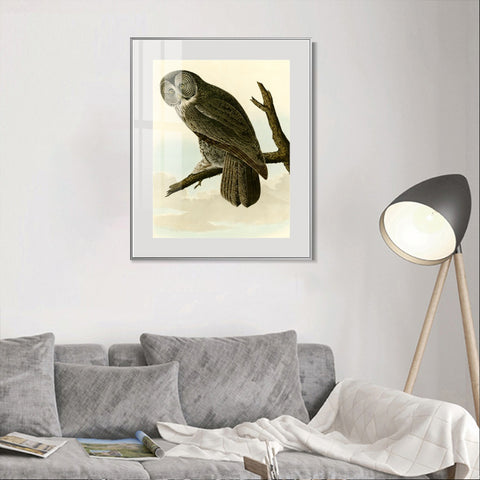 INVIN ART Metal Framed Canvas Giclee Print Great Cinereous Owl by John James Audubon Wall Art Living Room Home Office Decorations