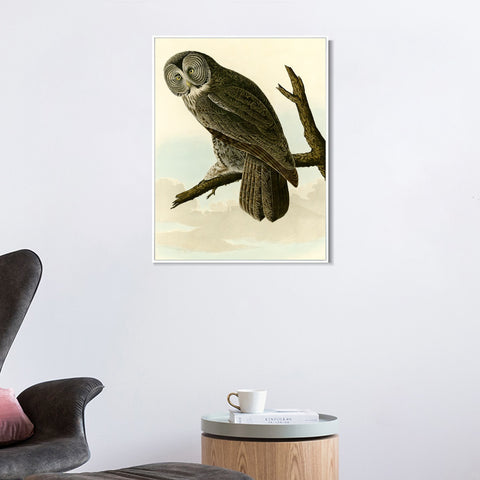 INVIN ART Framed Canvas Giclee Print Great Cinereous Owl by John James Audubon Wall Art Living Room Home Office Decorations