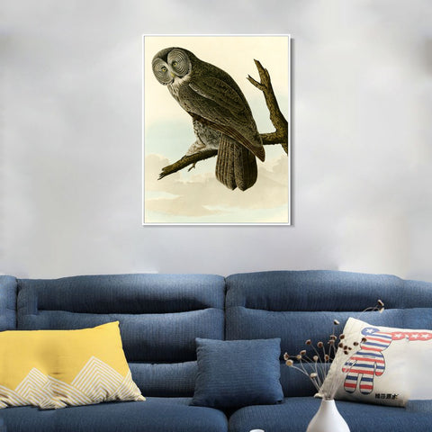 INVIN ART Framed Canvas Giclee Print Great Cinereous Owl by John James Audubon Wall Art Living Room Home Office Decorations