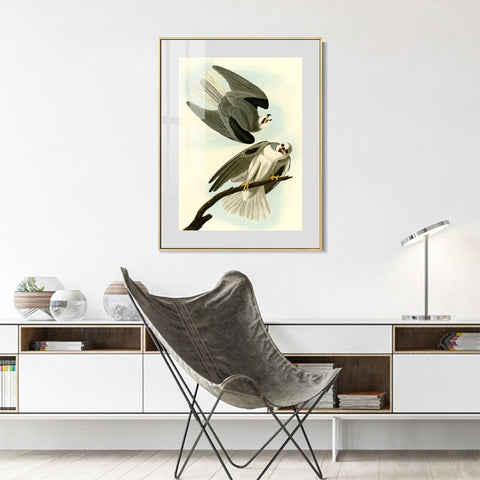 INVIN ART Metal Framed Canvas Giclee Print Black Winged Hawk by John James Audubon Wall Art Living Room Home Office Decorations