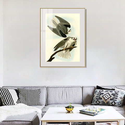 INVIN ART Metal Framed Canvas Giclee Print Black Winged Hawk by John James Audubon Wall Art Living Room Home Office Decorations